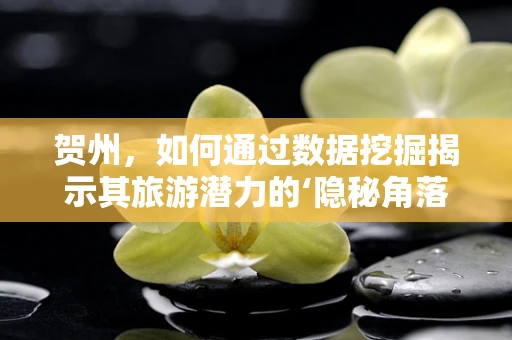 贺州，如何通过数据挖掘揭示其旅游潜力的‘隐秘角落’？
