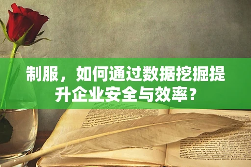 制服，如何通过数据挖掘提升企业安全与效率？