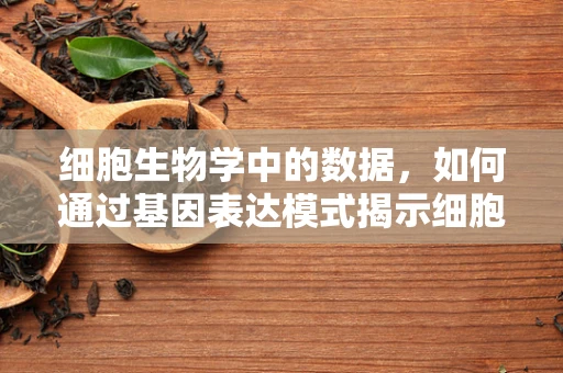 细胞生物学中的数据，如何通过基因表达模式揭示细胞功能？