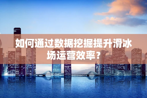 如何通过数据挖掘提升滑冰场运营效率？