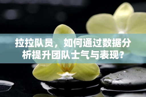 拉拉队员，如何通过数据分析提升团队士气与表现？