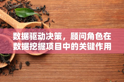 数据驱动决策，顾问角色在数据挖掘项目中的关键作用是什么？