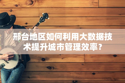 邢台地区如何利用大数据技术提升城市管理效率？
