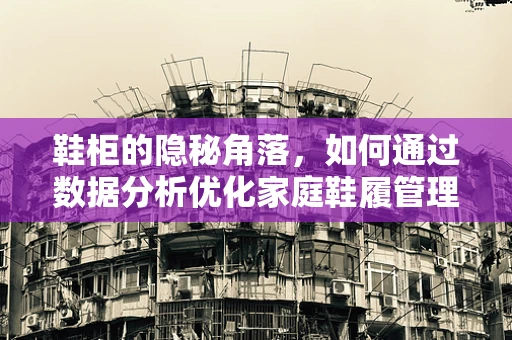 鞋柜的隐秘角落，如何通过数据分析优化家庭鞋履管理？