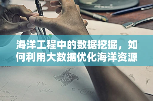 海洋工程中的数据挖掘，如何利用大数据优化海洋资源开发？