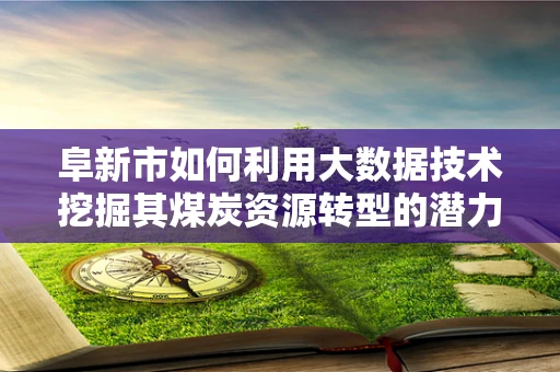 阜新市如何利用大数据技术挖掘其煤炭资源转型的潜力？
