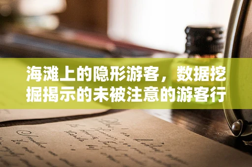 海滩上的隐形游客，数据挖掘揭示的未被注意的游客行为