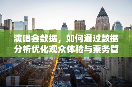 演唱会数据，如何通过数据分析优化观众体验与票务管理？