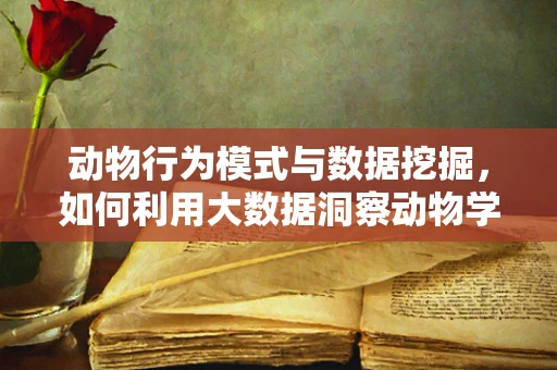 动物行为模式与数据挖掘，如何利用大数据洞察动物学奥秘？