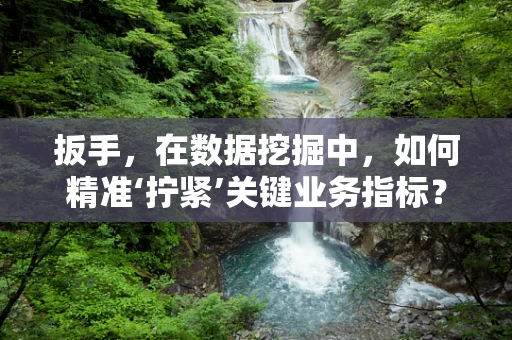 扳手，在数据挖掘中，如何精准‘拧紧’关键业务指标？