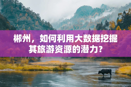 郴州，如何利用大数据挖掘其旅游资源的潜力？