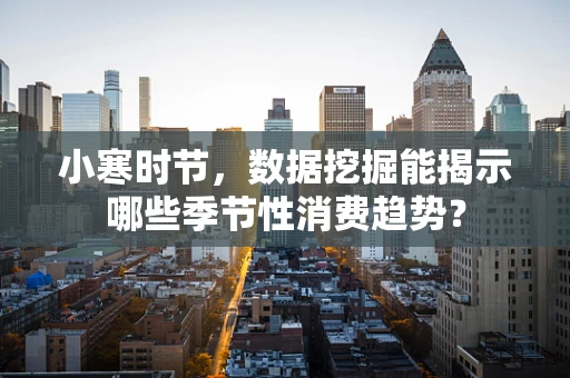 小寒时节，数据挖掘能揭示哪些季节性消费趋势？
