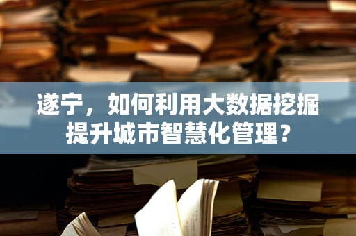 遂宁，如何利用大数据挖掘提升城市智慧化管理？