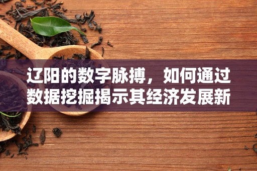 辽阳的数字脉搏，如何通过数据挖掘揭示其经济发展新机遇？