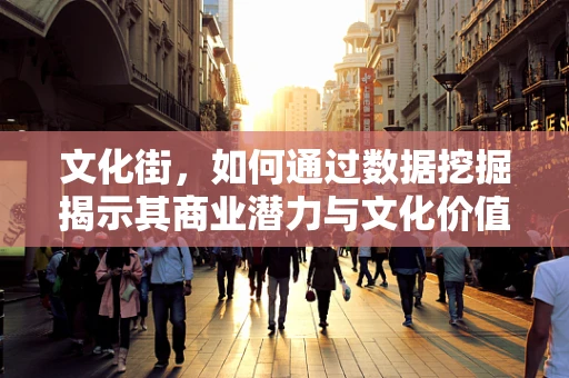 文化街，如何通过数据挖掘揭示其商业潜力与文化价值？