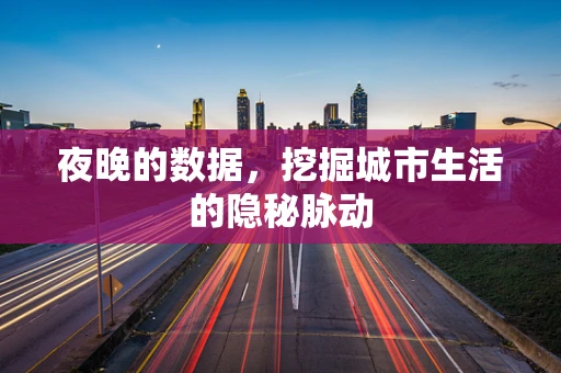 夜晚的数据，挖掘城市生活的隐秘脉动