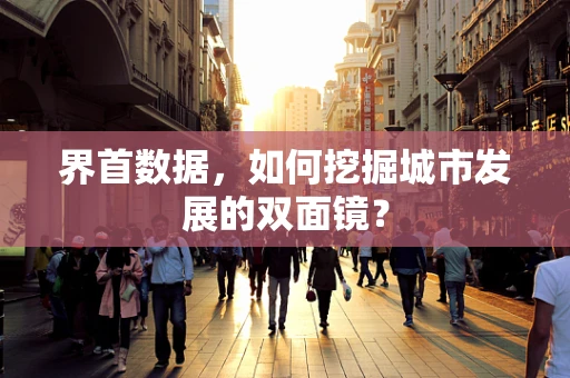 界首数据，如何挖掘城市发展的双面镜？