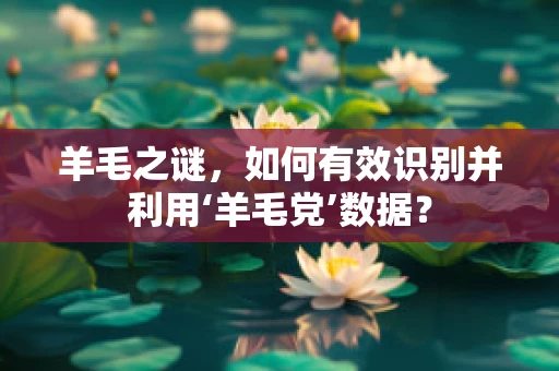 羊毛之谜，如何有效识别并利用‘羊毛党’数据？