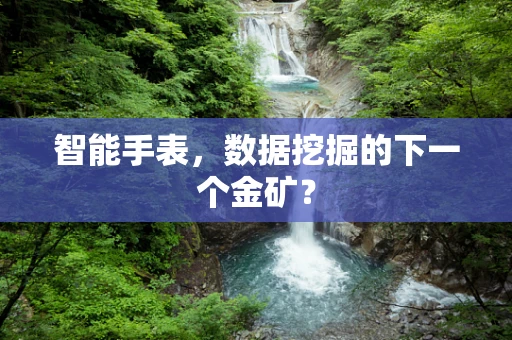智能手表，数据挖掘的下一个金矿？