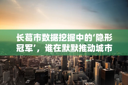 长葛市数据挖掘中的‘隐形冠军’，谁在默默推动城市发展？