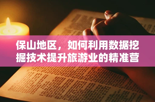 保山地区，如何利用数据挖掘技术提升旅游业的精准营销？