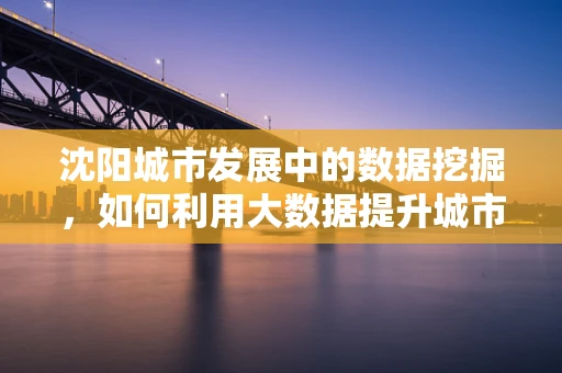 沈阳城市发展中的数据挖掘，如何利用大数据提升城市治理效率？