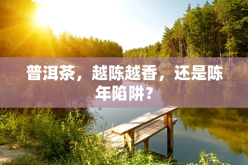 普洱茶，越陈越香，还是陈年陷阱？