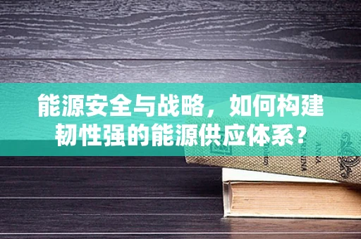 能源安全与战略，如何构建韧性强的能源供应体系？
