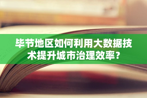 毕节地区如何利用大数据技术提升城市治理效率？