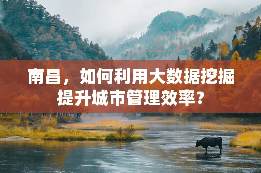 南昌，如何利用大数据挖掘提升城市管理效率？