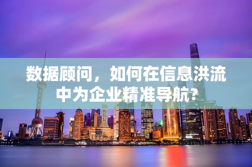 数据顾问，如何在信息洪流中为企业精准导航？