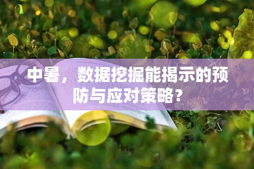 中暑，数据挖掘能揭示的预防与应对策略？