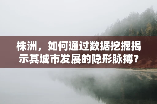 株洲，如何通过数据挖掘揭示其城市发展的隐形脉搏？