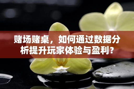 赌场赌桌，如何通过数据分析提升玩家体验与盈利？