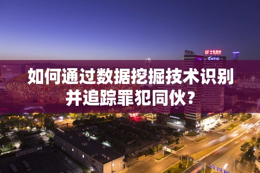 如何通过数据挖掘技术识别并追踪罪犯同伙？