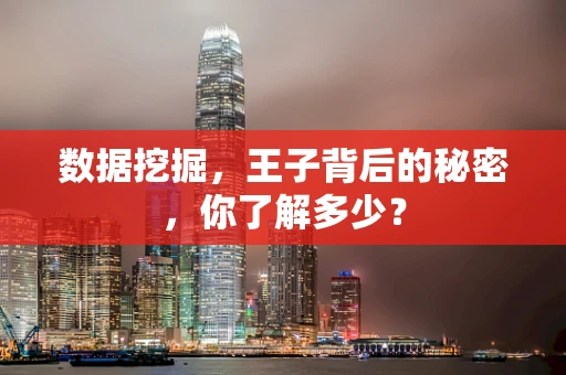 数据挖掘，王子背后的秘密，你了解多少？