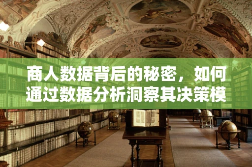 商人数据背后的秘密，如何通过数据分析洞察其决策模式？