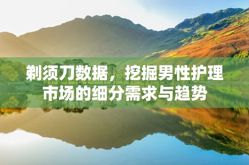 剃须刀数据，挖掘男性护理市场的细分需求与趋势