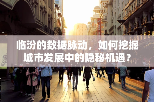 临汾的数据脉动，如何挖掘城市发展中的隐秘机遇？