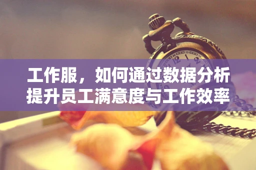 工作服，如何通过数据分析提升员工满意度与工作效率？