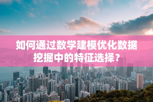 如何通过数学建模优化数据挖掘中的特征选择？