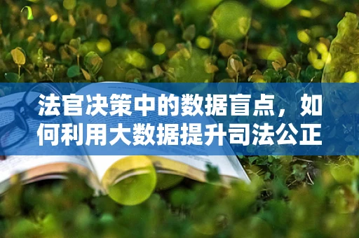法官决策中的数据盲点，如何利用大数据提升司法公正？