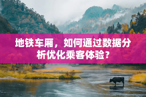 地铁车厢，如何通过数据分析优化乘客体验？