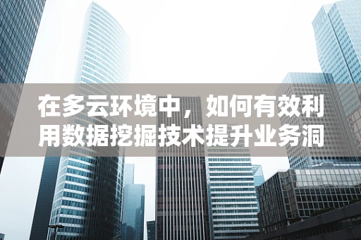 在多云环境中，如何有效利用数据挖掘技术提升业务洞察力？
