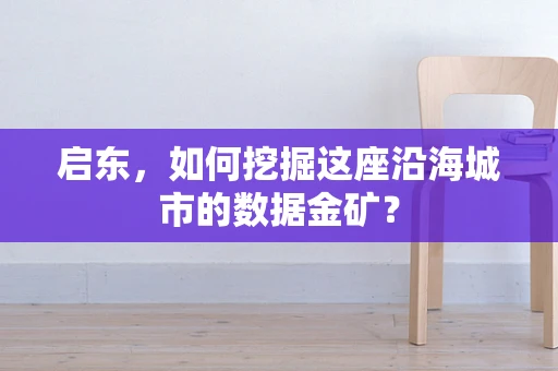 启东，如何挖掘这座沿海城市的数据金矿？