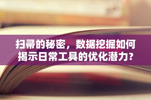 扫帚的秘密，数据挖掘如何揭示日常工具的优化潜力？