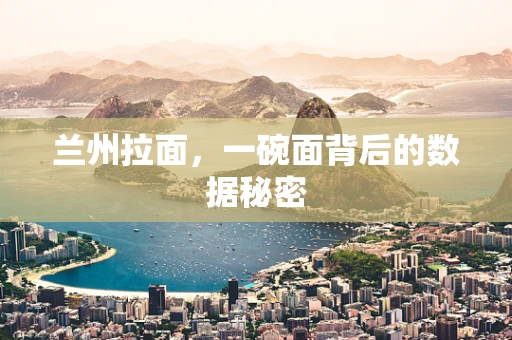兰州拉面，一碗面背后的数据秘密