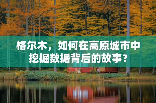 格尔木，如何在高原城市中挖掘数据背后的故事？