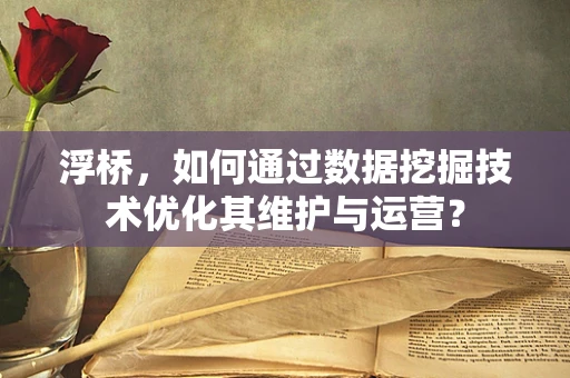 浮桥，如何通过数据挖掘技术优化其维护与运营？