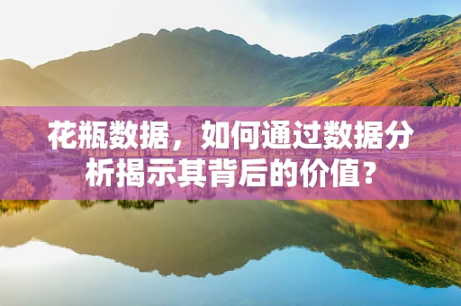 花瓶数据，如何通过数据分析揭示其背后的价值？